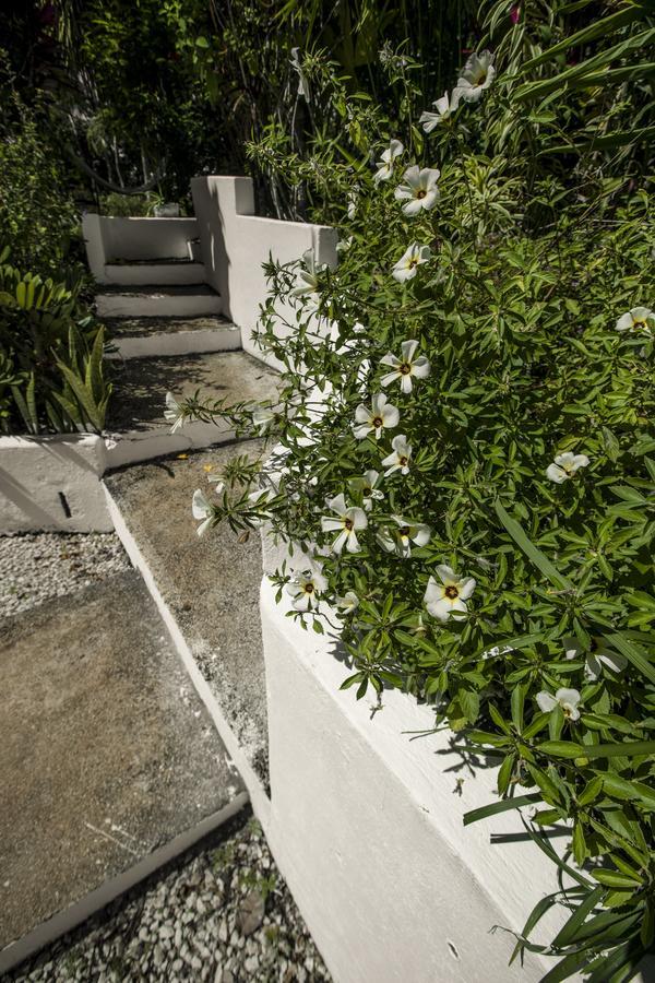 Blanconejo De Montezuma Vila Exterior foto