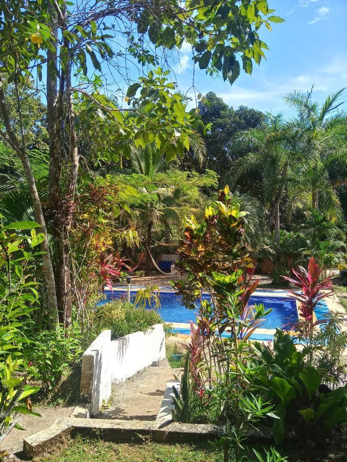 Blanconejo De Montezuma Vila Exterior foto